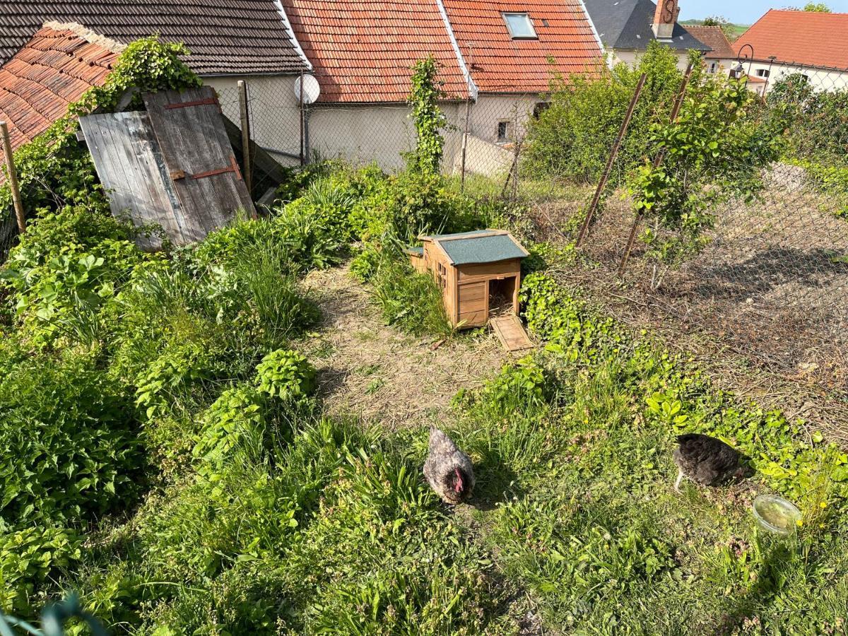 2 chambres dans maison de campagne avec piscine intérieure Lagery Extérieur photo